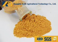 Yellow Color Fish Meal Powder 4.5% Max Salt And Sand Animal Protein