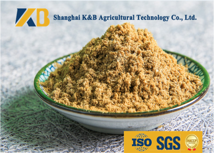 Free SGS Certification Fish Meals , 65% High Protein Animal Feed Additive